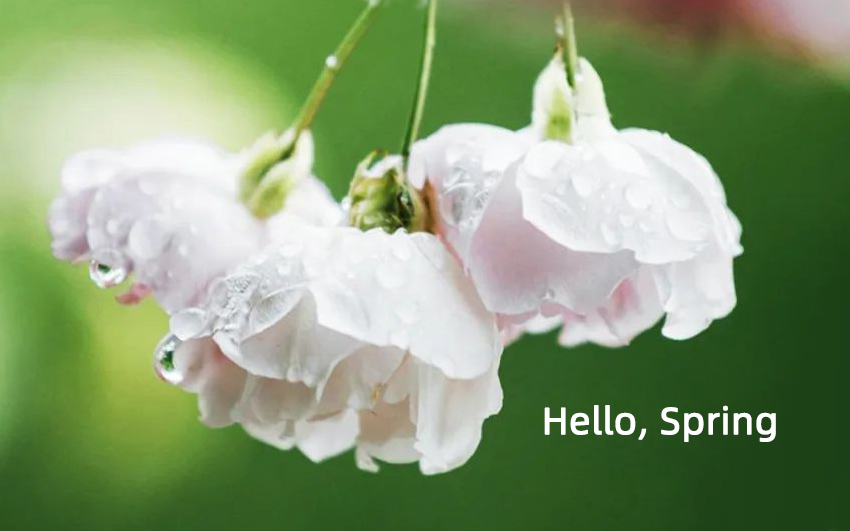 The 24 solar terms | spring equinox